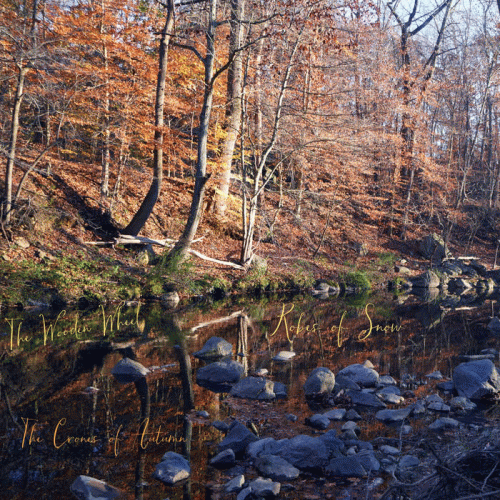 Robes Of Snow : The Wooden Wheel: The Crones of Autumn Robes Of Snow : The Wooden Wheel: The Crones of Autumn